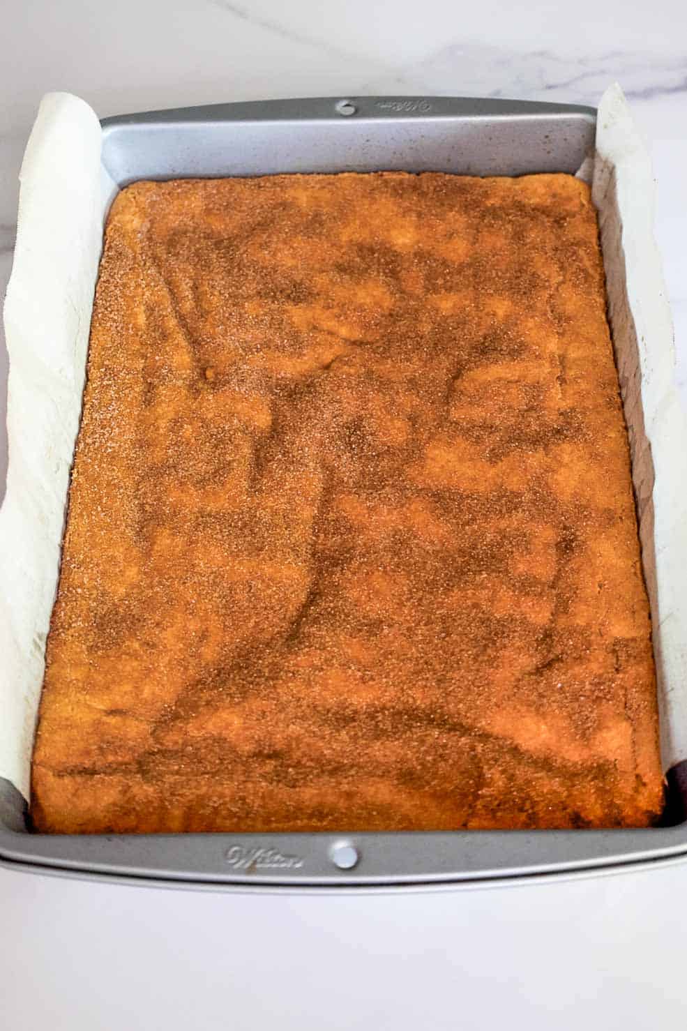 Fully baked snickerdoodle cookie bar slab still in the pan, golden and topped with a crackly cinnamon-sugar crust.