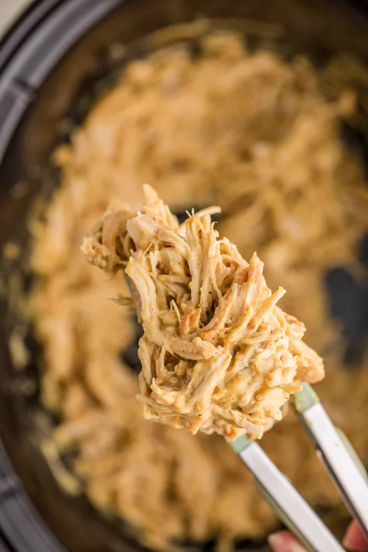 Tongs lift tender shredded chicken coated in creamy honey mustard sauce from the slow cooker. More cooked chicken fills the cooker below.