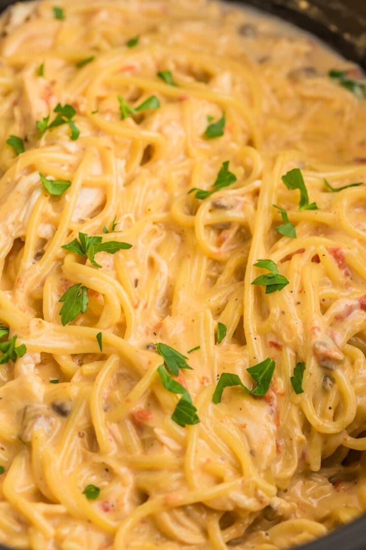 Close view of chicken spaghetti coated in a creamy cheese sauce with pieces of tomato and mushroom visible between the noodles. Chopped parsley is sprinkled across the finished slow cooker meal.