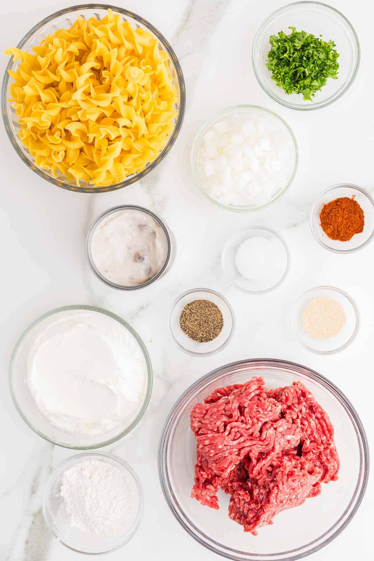 Ingredients for ground beef stroganoff arranged before cooking. The ingredients include egg noodles ground beef diced onion flour salt garlic powder paprika black pepper cream of mushroom soup sour cream and parsley.