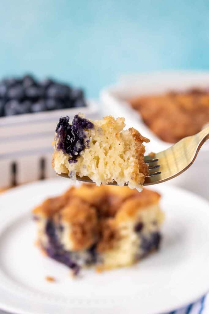 Bisquick Blueberry Coffee Cake Recipe - By Kelsey Smith