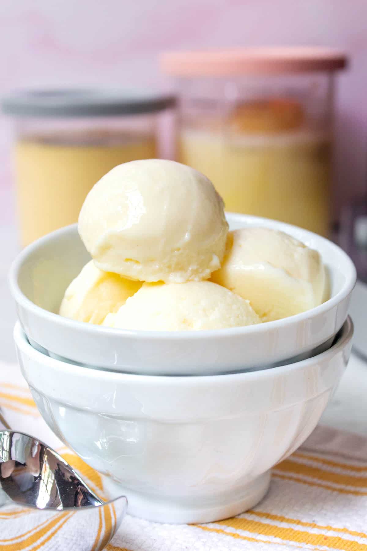 Ninja Creami Vanilla Protein Ice Cream
