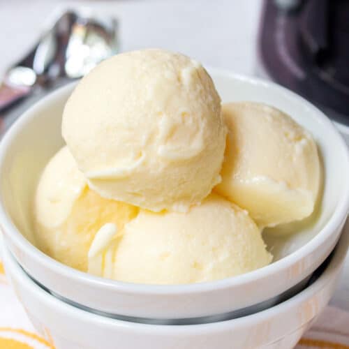 https://bykelseysmith.com/wp-content/uploads/2023/05/Ninja-Creami-Vanilla-Protein-Ice-Cream-500x500.jpg