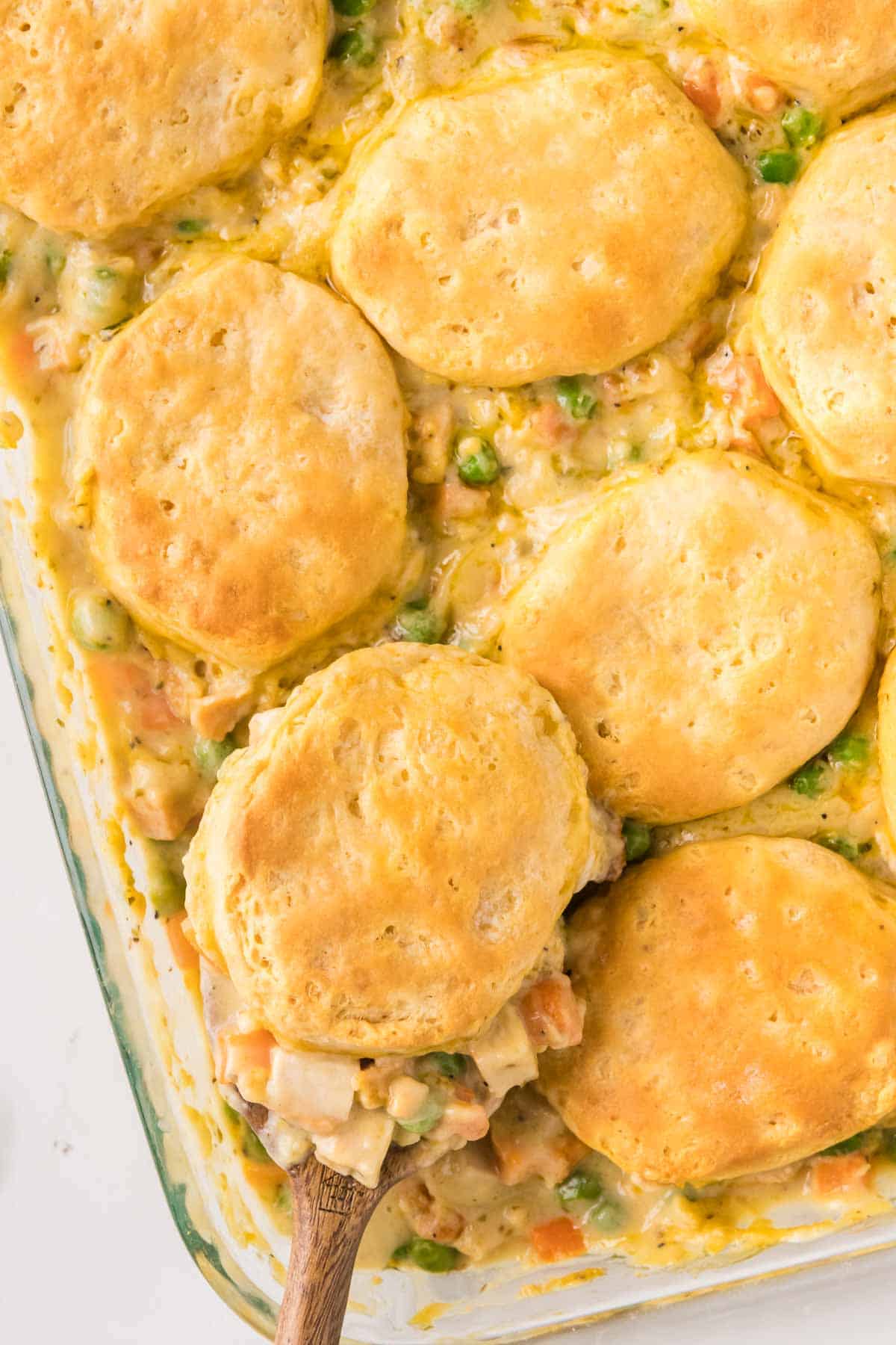 Easy chicken pot pie casserole with biscuits being served with a large spoon