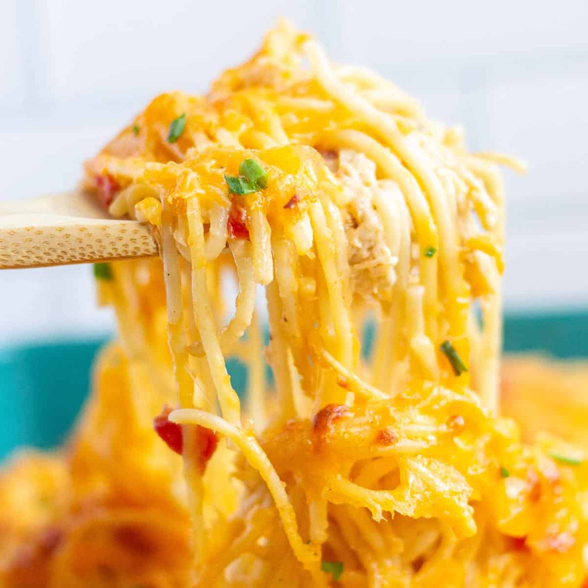 16 Chicken Pasta Casserole Recipes - By Kelsey Smith