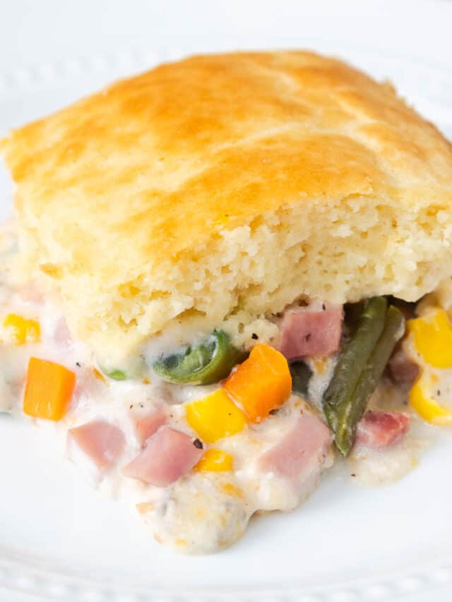 13 Easy Bisquick Casserole Recipes - By Kelsey Smith