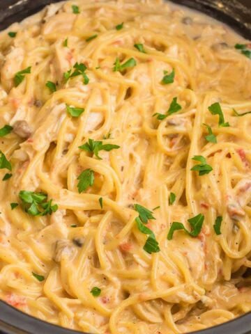 Finished slow cooker Rotel chicken spaghetti with shredded chicken tomato pieces mushrooms and chopped parsley mixed throughout the creamy sauce.
